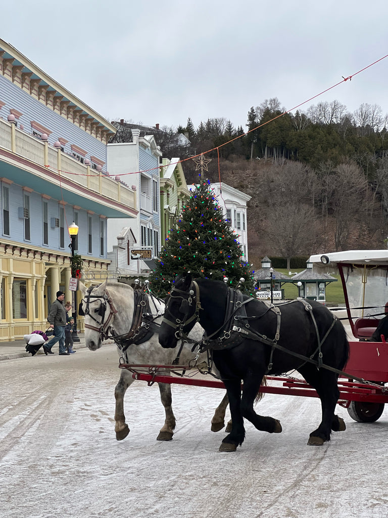 Winter on Mackinac