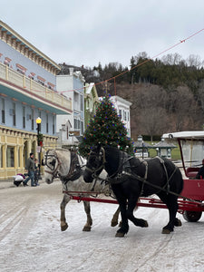 Winter on Mackinac